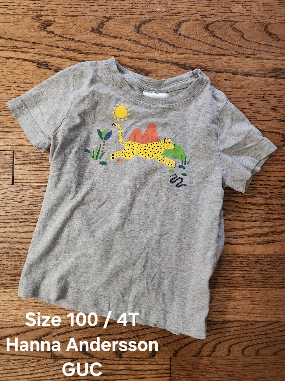 Hanna Andersson Gray Tee with Yellow Leopard and Colorful Nature Print